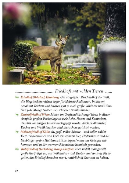 Produktbild: Der Friedhof lebt!