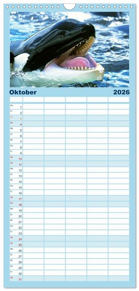 Produktbild: Familienplaner 2026 - Orcas: Schwarz-wei&szlig;e Giganten mit 5 Spalten (Wandkalender, 21 x 45 cm) CALVENDO