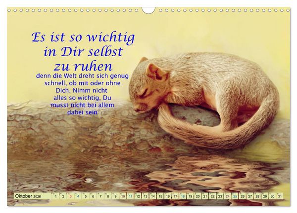 Produktbild: Spruchkalender - schau rein (Wandkalender 2026 DIN A3 quer), CALVENDO Monatskalender