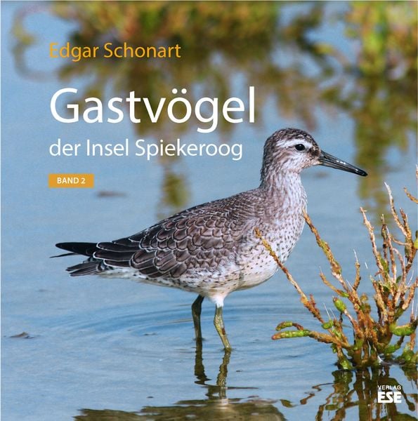 Gastvögel der Insel Spiekeroog