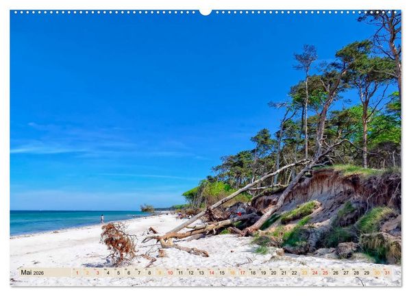 Produktbild: Deutschland - Nationalparks (hochwertiger Premium Wandkalender 2026 DIN A2 quer), Kunstdruck in Hochglanz