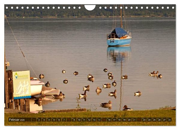 Produktbild: Seest&auml;rke - Der Ammersee (Wandkalender 2026 DIN A4 quer), CALVENDO Monatskalender