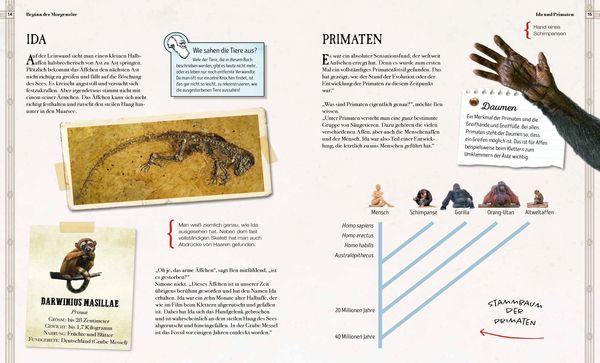 Produktbild: Verborgene Welt der Megafauna