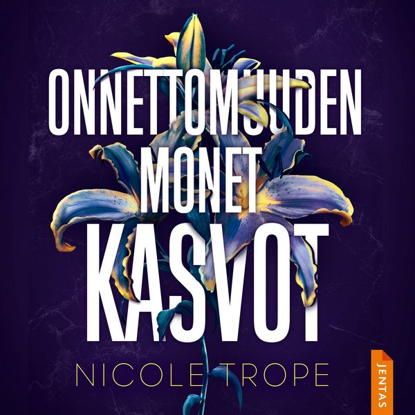 Produktbild: Onnettomuuden monet kasvot