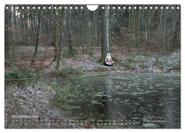 Produktbild: HAIKU AM TEICH (Wandkalender 2026 DIN A4 quer), CALVENDO Monatskalender