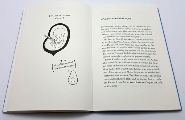 Produktbild: Wunder im Bauch