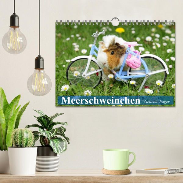 Produktbild: Meerschweinchen. Geliebte Nager (Wandkalender 2026 DIN A4 quer), CALVENDO Monatskalender