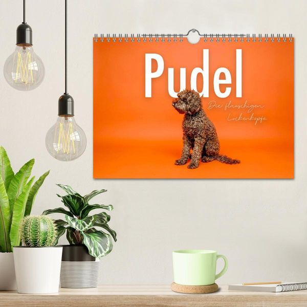 Produktbild: Pudel - Die flauschigen Lockenk&ouml;pfe. (Wandkalender 2026 DIN A4 quer), CALVENDO Monatskalender