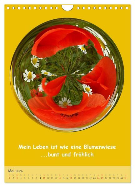 Produktbild: Meditative Natur (Wandkalender 2026 DIN A4 hoch), CALVENDO Monatskalender