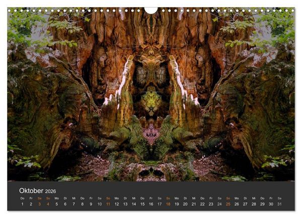 Produktbild: Spiegelwelten - Im Reich der Naturwesen (Wandkalender 2026 DIN A3 quer), CALVENDO Monatskalender