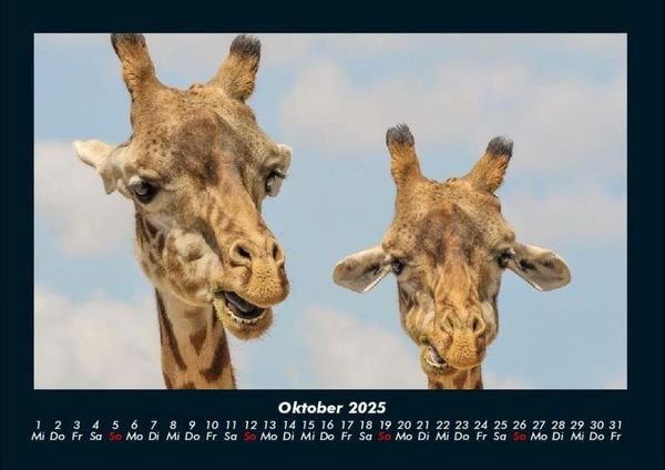 Produktbild: Der Tierkalender 2025 Fotokalender DIN A4