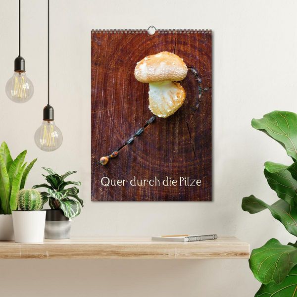 Produktbild: Quer durch die Pilze (Wandkalender 2026 DIN A3 hoch), CALVENDO Monatskalender