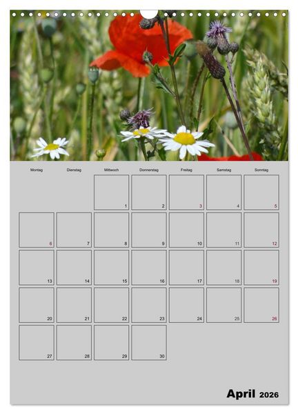 Produktbild: Zeitgewinn (Mein Terminplaner) (Wandkalender 2026 DIN A3 hoch), CALVENDO Monatskalender