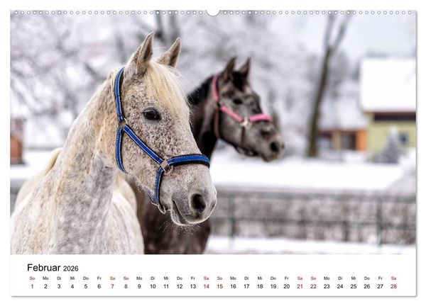 Produktbild: Masuren 2026 - Land der 1000 Seen (hochwertiger Premium Wandkalender 2026 DIN A2 quer), Kunstdruck in Hochglanz
