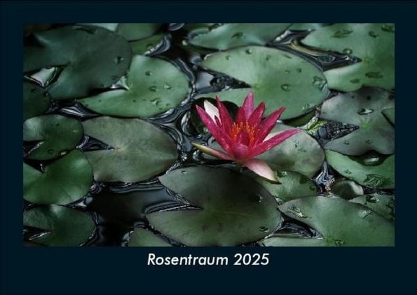 Produktbild: Rosentraum 2025 Fotokalender DIN A5