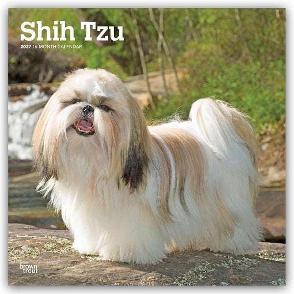 Produktbild: Shih Tzu 2027 &ndash; 16-Monatskalender
