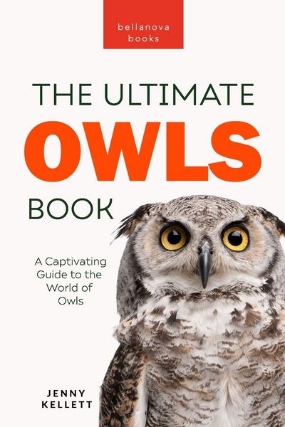 Produktbild: Owls The Ultimate Book