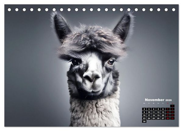 Produktbild: Only Black (Tischkalender 2026 DIN A5 quer), CALVENDO Monatskalender