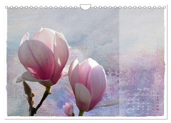 Produktbild: Natur und Farbe Fotografie trifft Aquarell (Wandkalender 2027 DIN A4 quer), CALVENDO Monatskalender