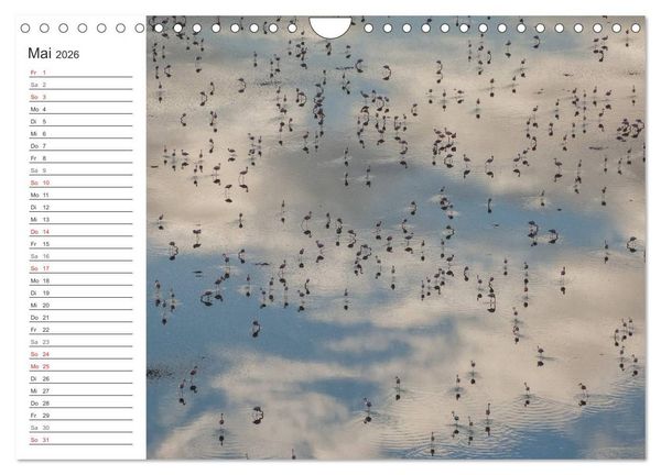 Produktbild: Emotionale Momente: Mein wildes Afrika (Wandkalender 2026 DIN A4 quer), CALVENDO Monatskalender