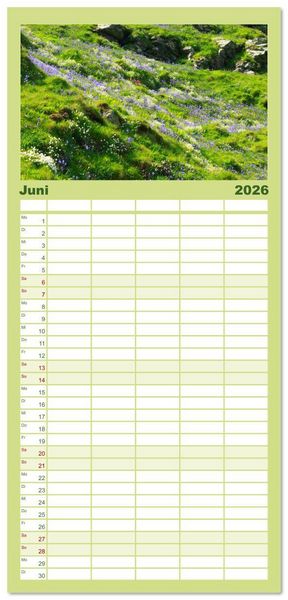 Produktbild: Familienplaner 2026 - Cornwall im Fr&uuml;hling mit 5 Spalten (Wandkalender, 21 x 45 cm) CALVENDO