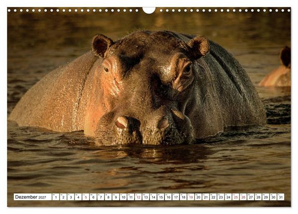 Produktbild: Namibia & Botswana (Wandkalender 2027 DIN A3 quer), CALVENDO Monatskalender