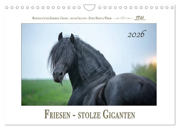 Produktbild: Friesen - stolze Giganten (Wandkalender 2026 DIN A4 quer), CALVENDO Monatskalender