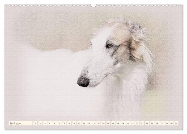 Produktbild: Windhunde 2026 (hochwertiger Premium Wandkalender 2026 DIN A2 quer), Kunstdruck in Hochglanz