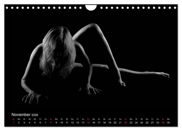 Produktbild: Kunstakt (Wandkalender 2026 DIN A4 quer), CALVENDO Monatskalender