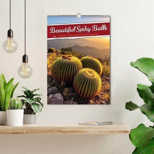 Produktbild: Beautiful Spiky Balls (Wall Calendar 2027 DIN A3 portrait), CALVENDO 12 Month Wall Calendar