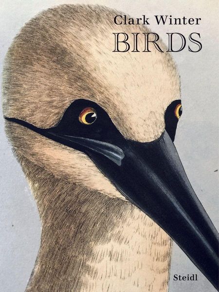 Produktbild: Birds