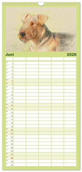 Produktbild: Familienplaner 2026 - Airedale Terrier 2026 mit 5 Spalten (Wandkalender, 21 x 45 cm) CALVENDO