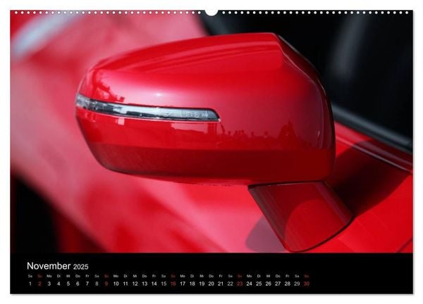 Produktbild: Vollblut-Sportler (Wandkalender 2025 DIN A2 quer), CALVENDO Monatskalender