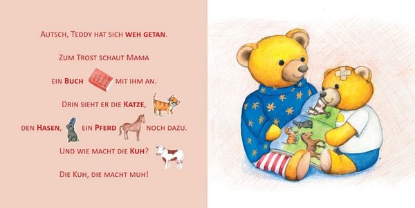 Produktbild: Das Teddybuch zur Zwergensprache