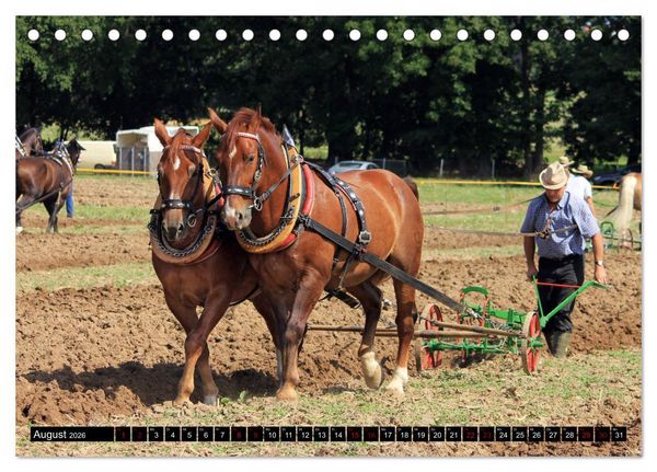 Produktbild: Schwere Warmbl&uuml;ter 2026 (Tischkalender 2026 DIN A5 quer), CALVENDO Monatskalender