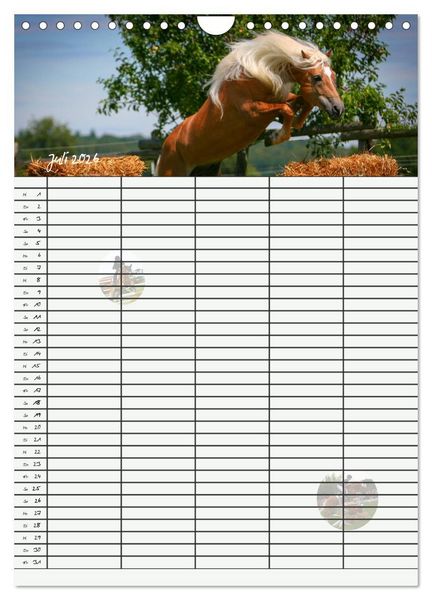 Produktbild: Haflinger Pferde - Stall- und Familienplaner 2026 (Wandkalender 2026 DIN A4 hoch), CALVENDO Monatskalender