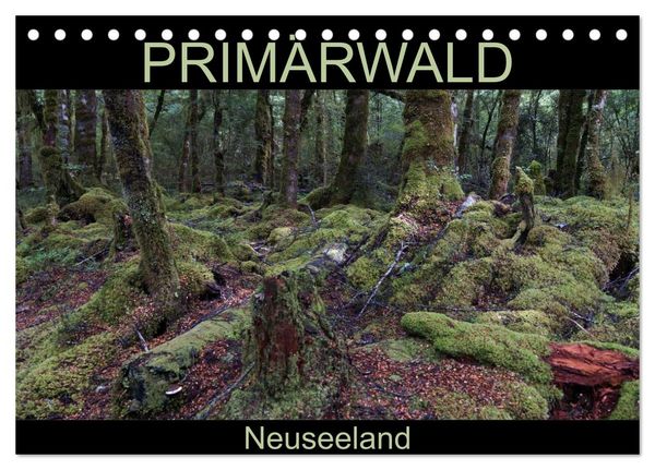 Produktbild: Prim&auml;rwald - Neuseeland (Tischkalender 2026 DIN A5 quer), CALVENDO Monatskalender