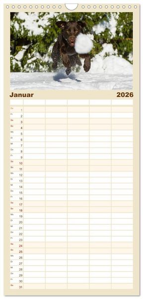 Produktbild: Familienplaner 2026 - Labrador Retriever - Freunde f&uuml;r&acute;s Leben mit 5 Spalten (Wandkalender, 21 x 45 cm) CALVENDO