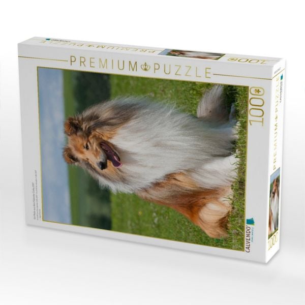 Produktbild: CALVENDO Puzzle Ein Motiv aus dem Kalender Collie 2017 | 1000 Teile Lege-Gr&ouml;&szlig;e 64x48cm Foto-Puzzle f&uuml;r gl&uuml;ckliche Stunden