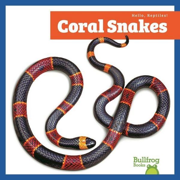 Produktbild: Coral Snakes