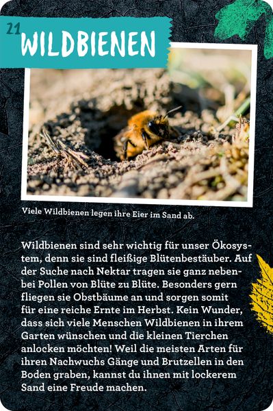 Produktbild: 50 Garten-Projekte - Nature Zoom (Blechdose)