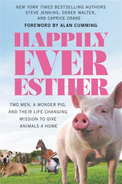 Produktbild: Happily Ever Esther