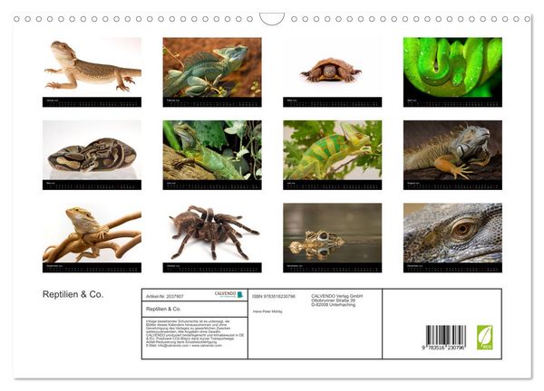 Produktbild: Reptilien & Co. (Wandkalender 2026 DIN A3 quer), CALVENDO Monatskalender