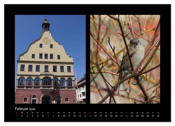 Produktbild: Ulmer Spatzen (Wandkalender 2026 DIN A2 quer), CALVENDO Monatskalender