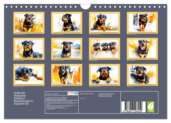 Produktbild: Kraftvolle Rottweiler. Stattliche Begleithunde im Aquarell-Stil (Wandkalender 2026 DIN A4 quer), CALVENDO Monatskalender