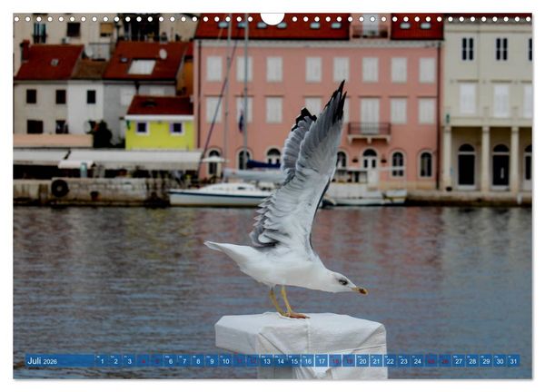 Produktbild: Inselwelt Cres & Losinj (Wandkalender 2026 DIN A3 quer), CALVENDO Monatskalender