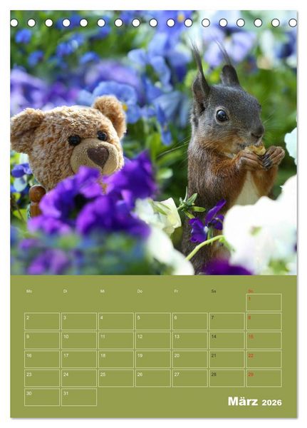 Produktbild: Eichh&ouml;rnchen - Abenteuer mit Freund Teddy (Tischkalender 2026 DIN A5 hoch), CALVENDO Monatskalender