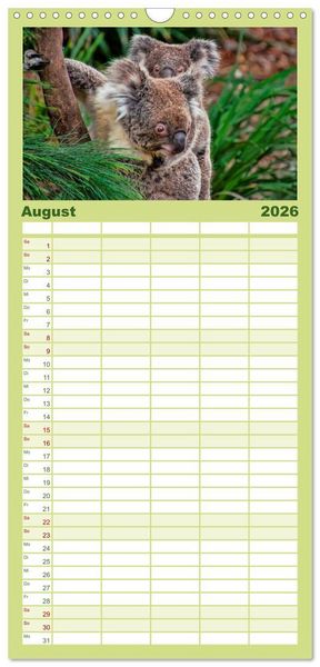 Produktbild: Familienplaner 2026 - Koala - kleiner Teddy mit 5 Spalten (Wandkalender, 21 x 45 cm) CALVENDO