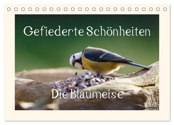 Produktbild: Gefiederte Sch&ouml;nheiten - Die Blaumeise (Tischkalender 2026 DIN A5 quer), CALVENDO Monatskalender