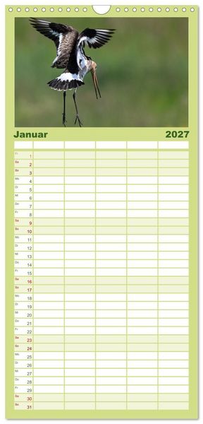 Produktbild: Familienplaner 2027 - Die bedrohten Uferschnepfen mit 5 Spalten (Wandkalender, 21 x 45 cm) CALVENDO
